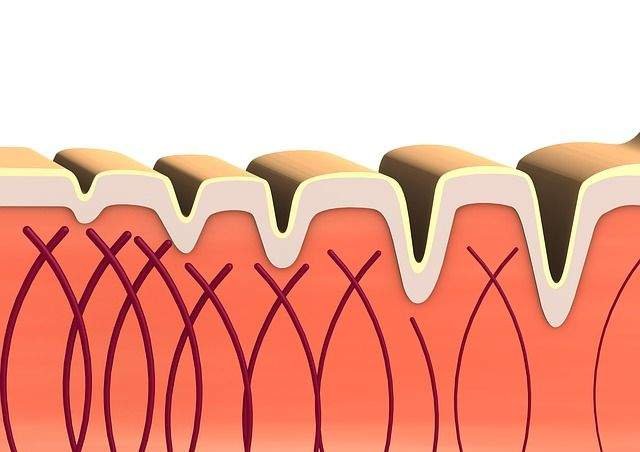 best time to take collagen
