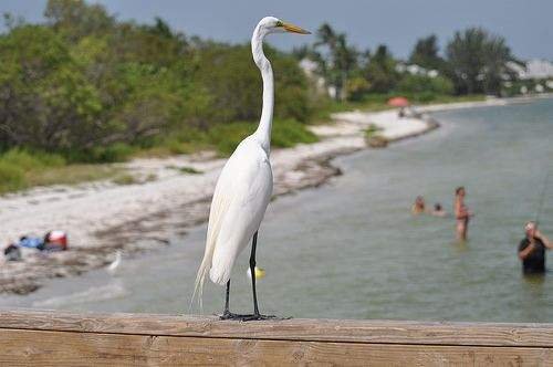 Sanibel Island