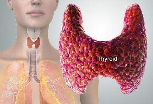 Pregnant With Thyroid Problems