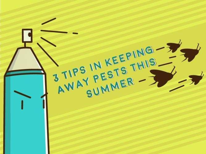 Pests Away This Summer