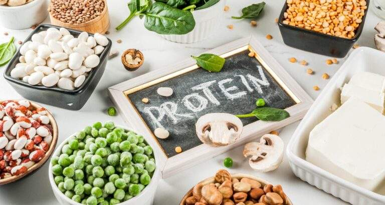 What Are The Foods That Contain Protein Required For The Body?