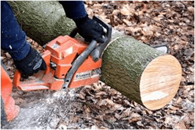 Tree Removal Service