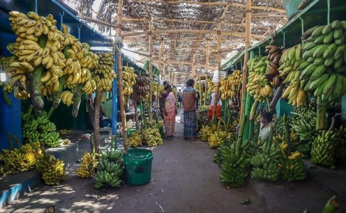 Banana Market
