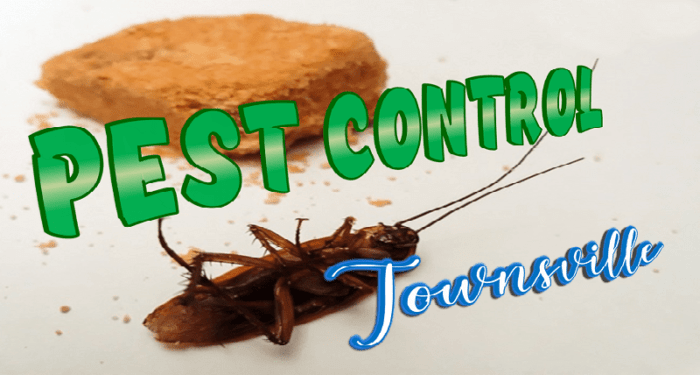  Pest Control Townsville 