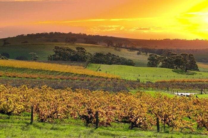 Barossa Valley