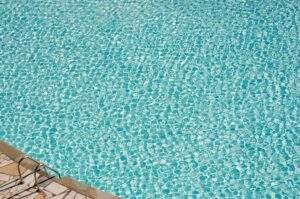 photo-1583679270049-8dce6767739f