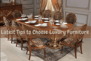 Luxury Furniture