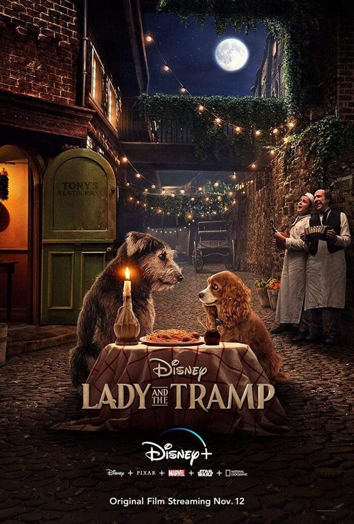 Mahshid Sadoughi – Lady and the Tramp