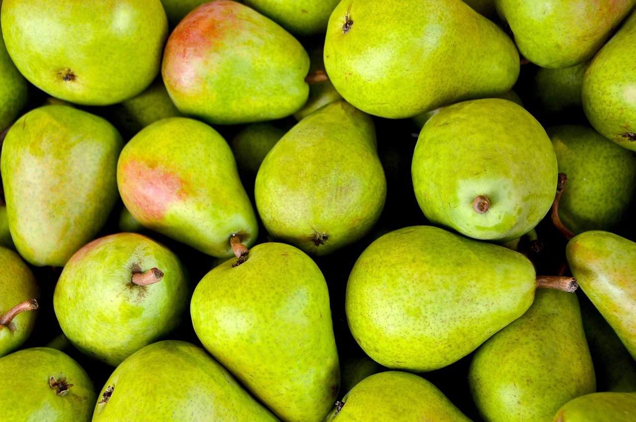Buying Pear Trees Online