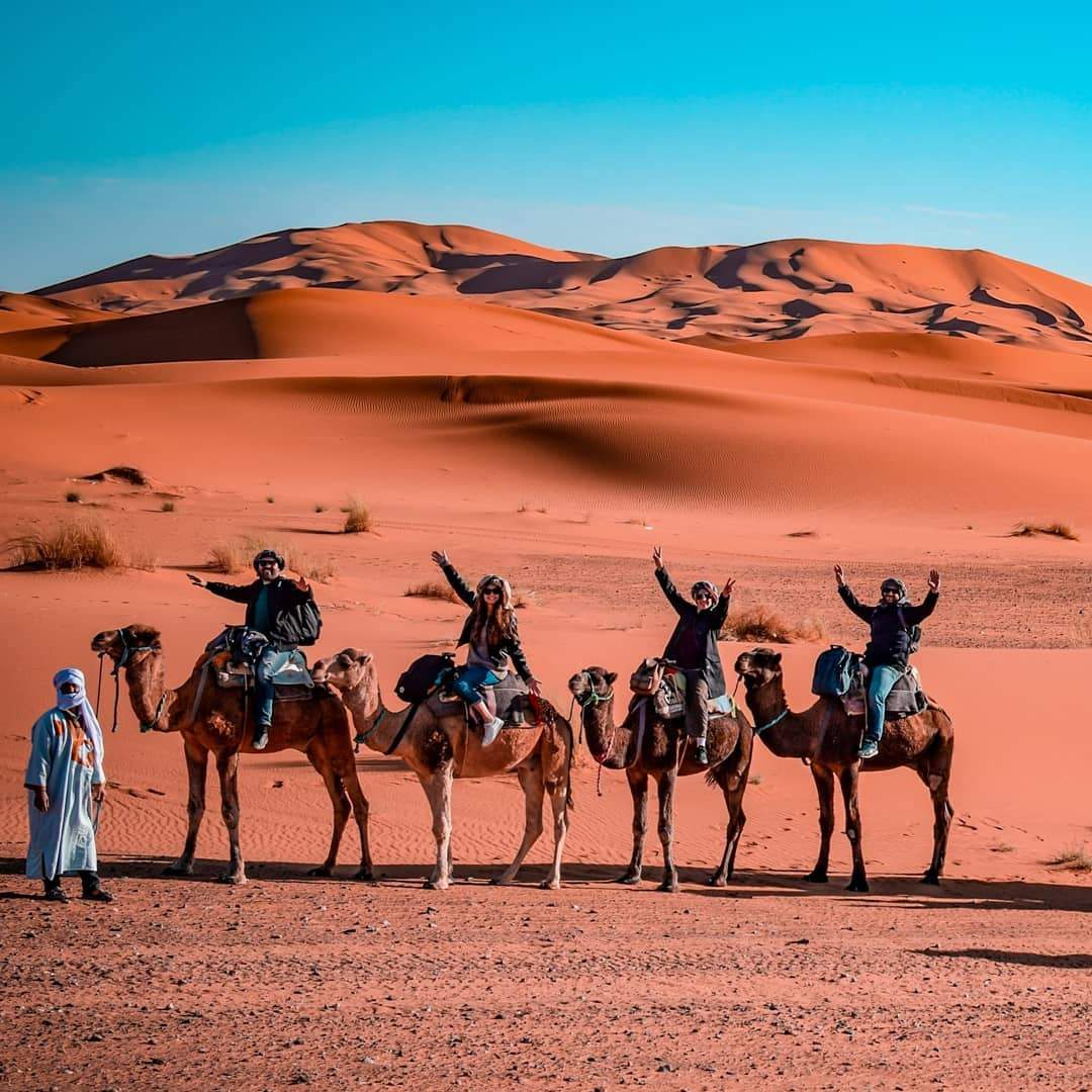 Camel ride s in Morocco, an intersting to know before going to visit Morocco