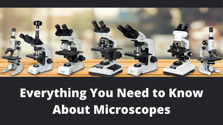 Microscopes manufacturer in India