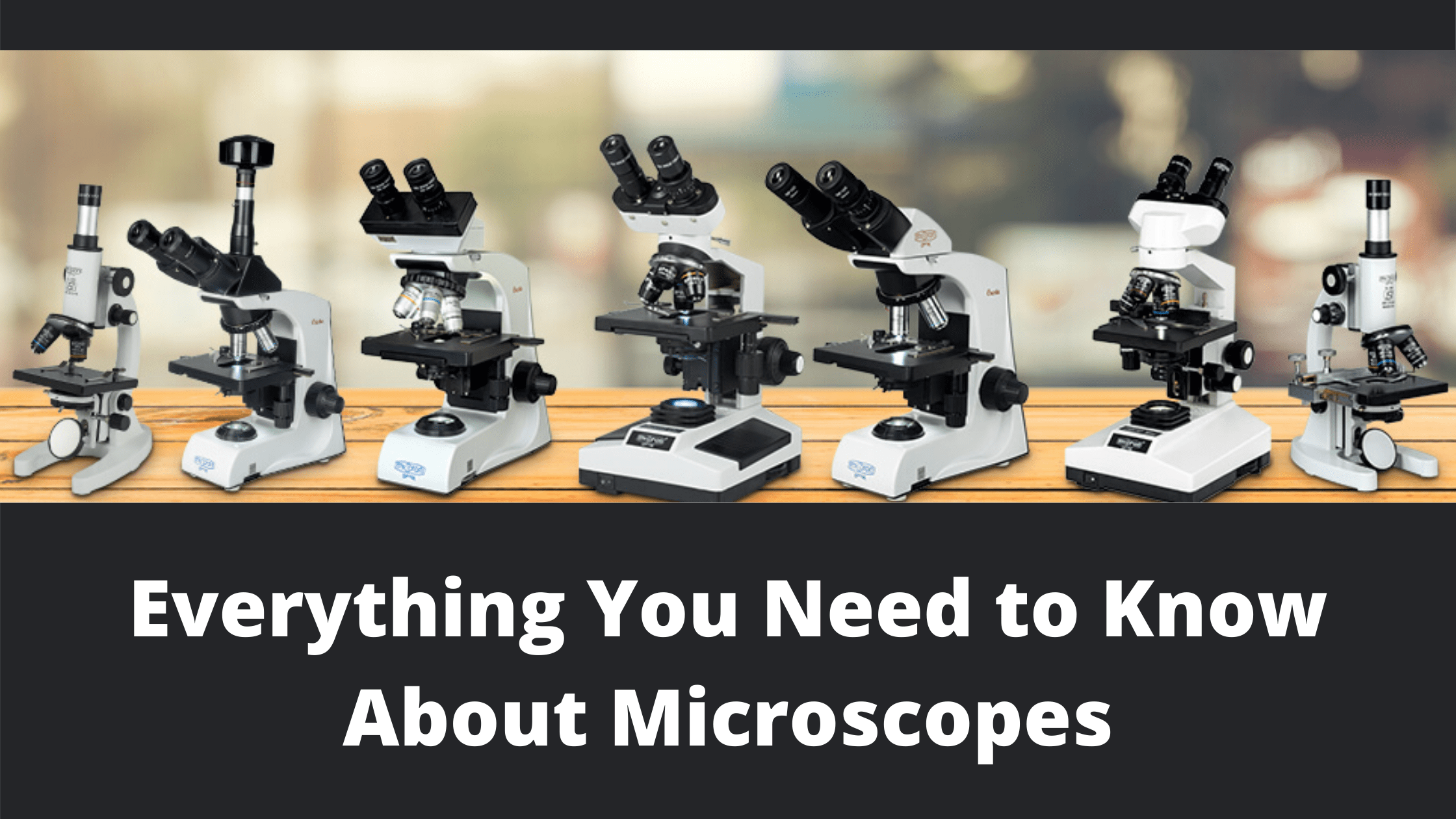 Everything You Need to Know About Microscopes