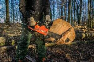 types of chainsaw