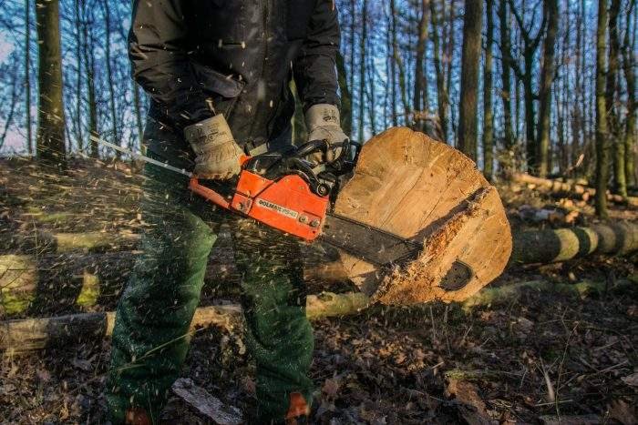 Types of Chain Saw