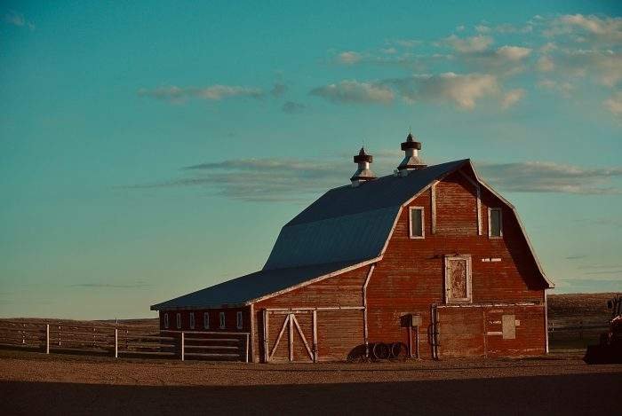 Steel Buildings