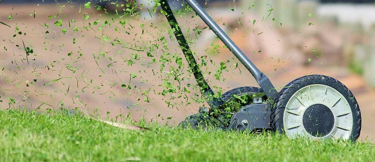 7 Lawn Care Tips You Ought To Embrace