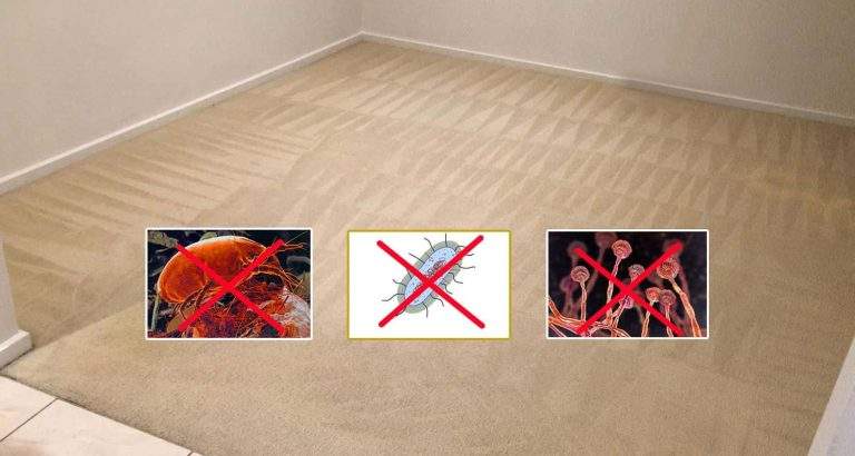 Fix Furniture Dents in Your Carpet