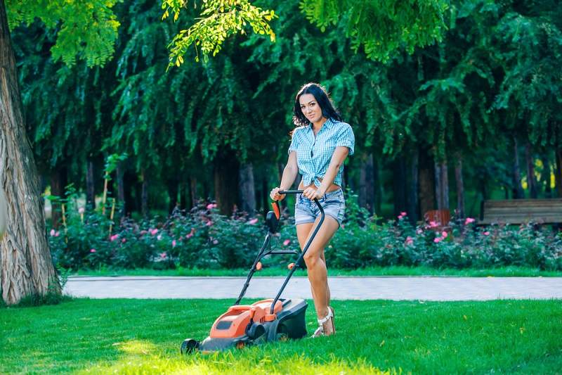 6 Types of Lawn Mower Before You Buy It