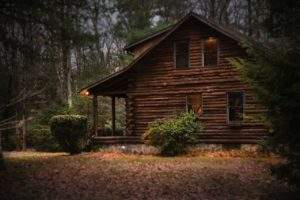 Features of Cabin Rentals that Make a Good Investment
