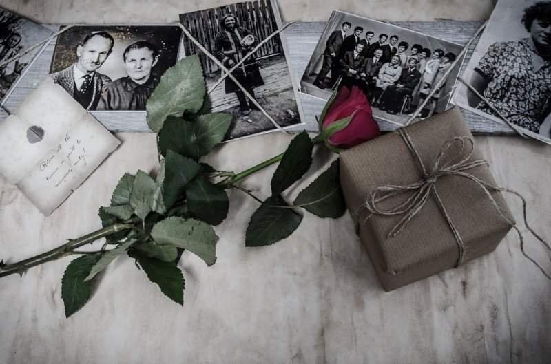 Your Family History