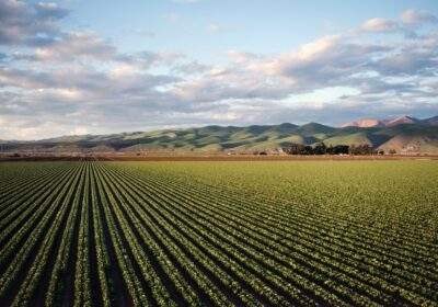 Choosing the Right Farmland Real Estate Company for Your Agricultural Needs