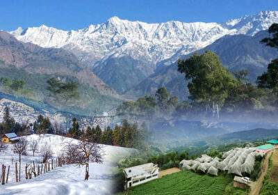 Camping In Shimla For Ultimate Rejoice In Shimla Tour