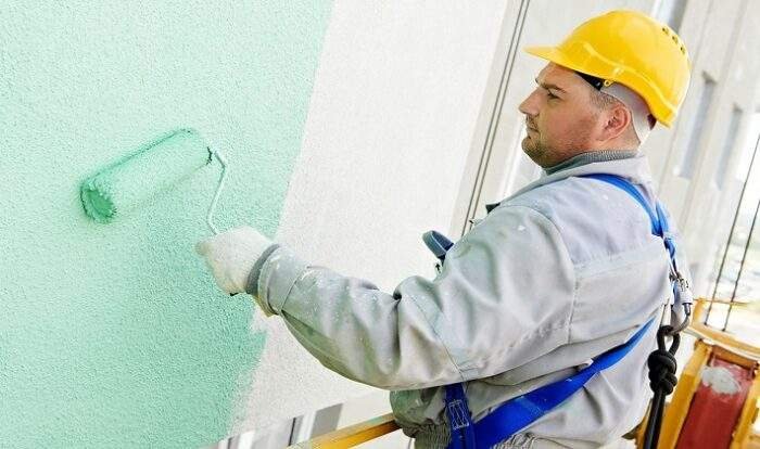 painter Auckland