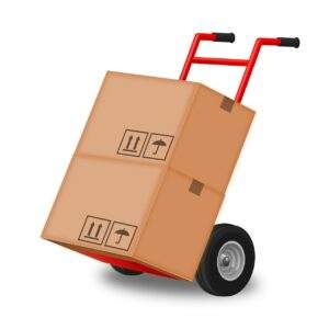 professional Moving Services