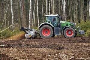 Professional Tree Pruning Services