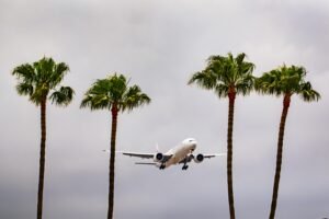 pexels-ramazphotos-32207252