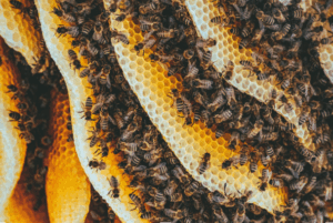 Screenshot 2025-11-10 133140