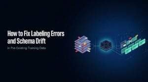 Labeling Errors and Schema Drift