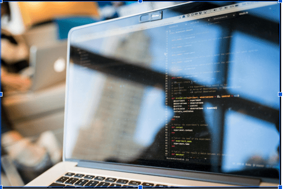 Multi-Vendor Marketplace Software